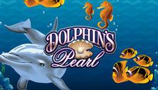 Highroller Dolphin’s Pearl