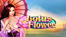 Lotus Flower