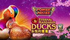 Power Prizes - Eternal Mandarin Ducks
