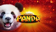 Prized Panda